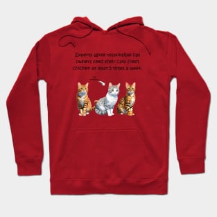 Experts agree responsible cat owners feed their cats fresh chicken at least 5 times a week - funny watercolour cat design Hoodie